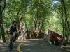 Group cycling at Voyageur bike trails from Ottawa to Aylmer and crossing a wooden bridge with Escape Tours Rentals