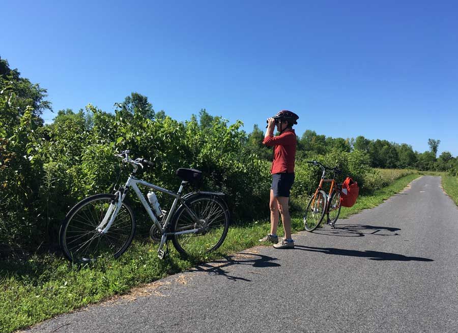 Cyclists stop at the waterfront trail to birdwatch during Cornwall multi-day bike tour by Escape tours rentals