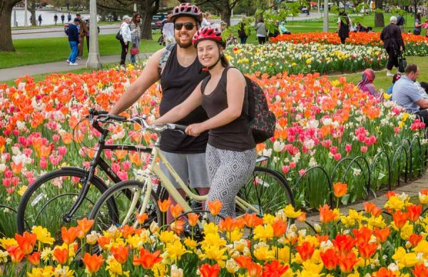 Couple enjoying a special tulip bike tour in Ottawa with Escape tours rentals at Dow's Lake