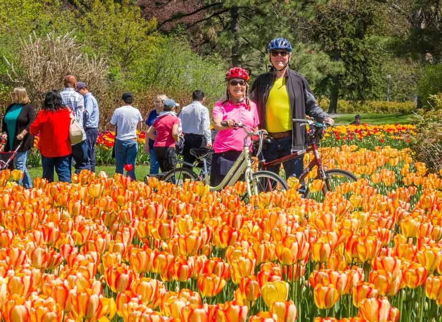 A couple is taking a picture in front of colourful tulips during Escape Tulip festival bike tour at Commissioners park in May