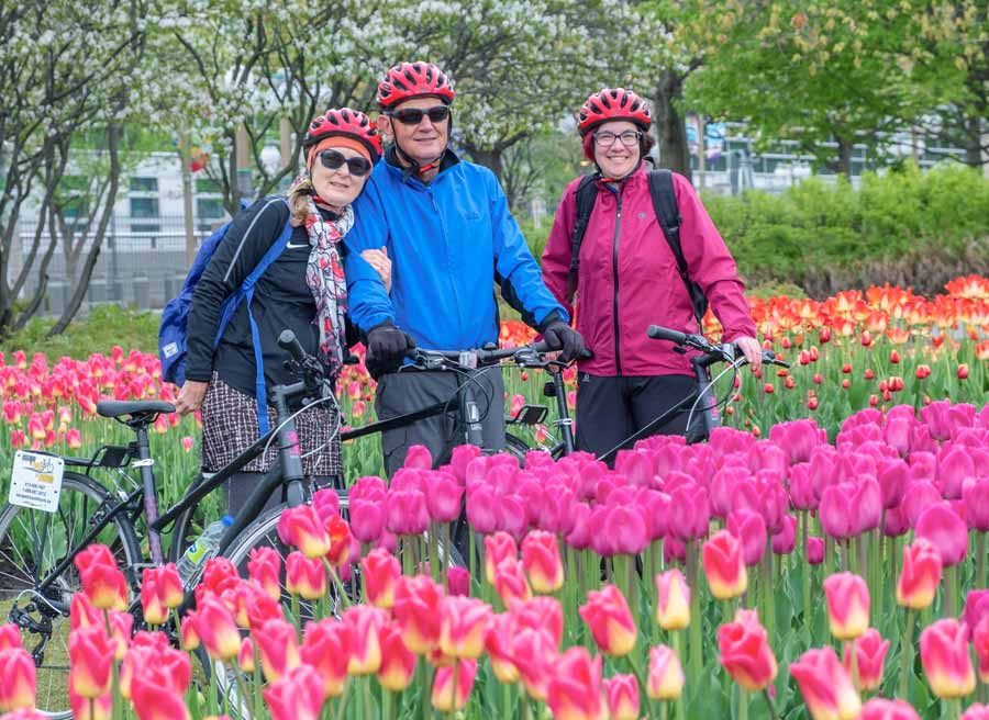 Small-group tulip bike tour guests taking a group picture in front of pink tulips during Tulip festival at Dow’s Lake in May