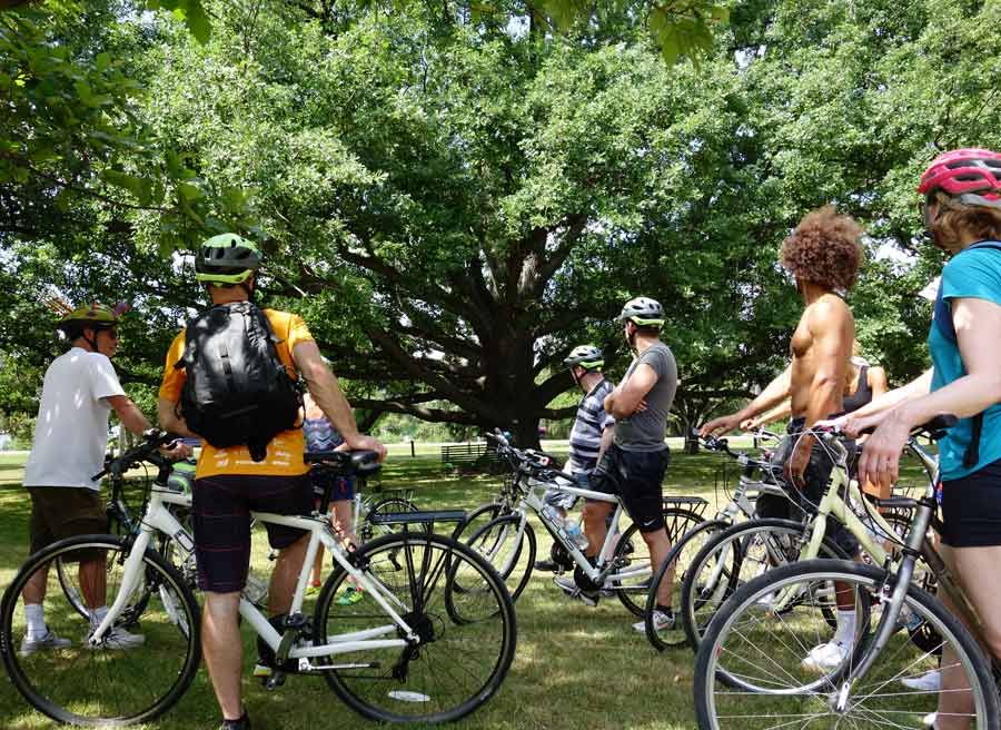 Guest are learning about trees at dominion arboretum during best of Ottawa neighbourhood and nature bike tour with Escape