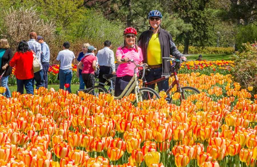 A couple having a special Ottawa Tulip bike tour with Escape tours and rentals at Commissioners park, Dow’s Lake