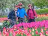 Small-group tulip bike tour guests taking a group picture in front of pink tulips during Tulip festival at Dow’s Lake in May