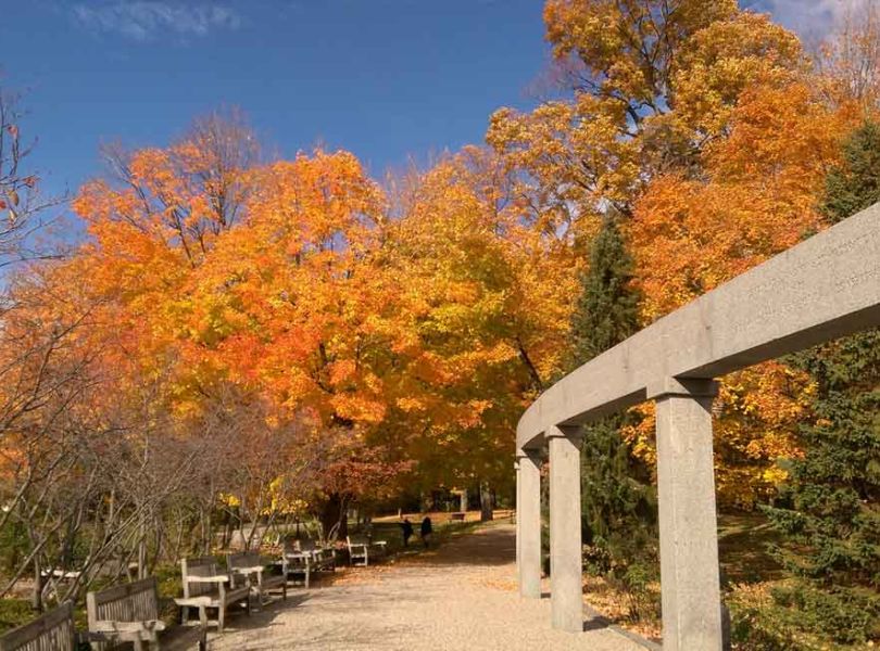 View of the Rockcliffe Park with Fall colours on trees while cycling to Petrie Island with Escape self-guided bike tour in Ottawa