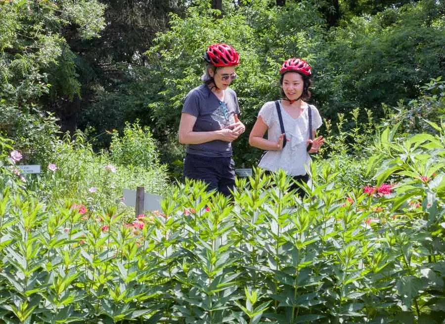 2 friends are walking through an Ottawa gardens and looking at plants during Escape garden promenade bike tour in Ottawa