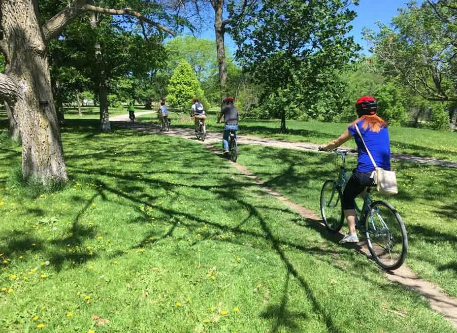 Guests are biking through green space at dominion arboretum during Escape best of Ottawa Neighbourhood and nature bike tour 