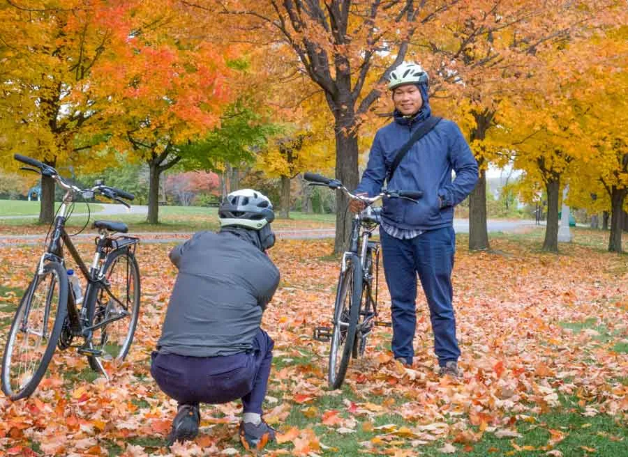 Guests looking at Fall colours and taking pictures in Ottawa park during Escape best of Ottawa Neighbourhood and nature tour 