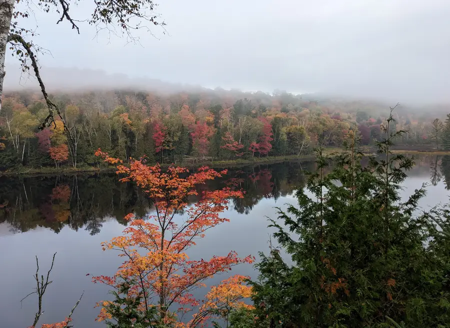 View of tree & St. Lawrence River at Upper Canada Village during multi-day bike tour to Cornwall by Escape tours rentals
