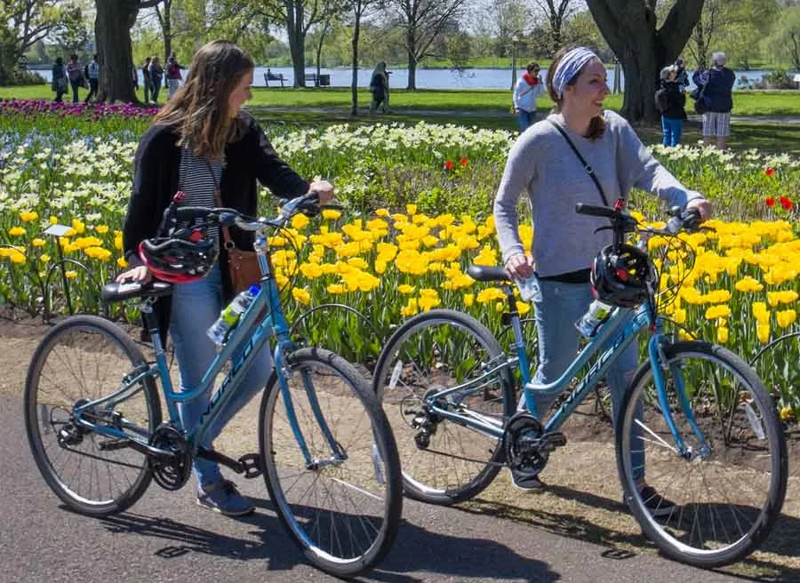 Hybrid Performance Bike Rental Ottawa Escape Bicycle Tours & Rentals