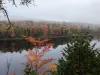 View of tree & St. Lawrence River at Upper Canada Village during multi-day bike tour to Cornwall by Escape tours rentals