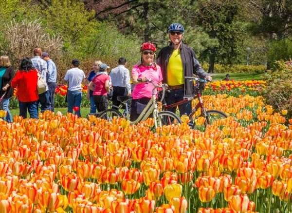 Ottawa Festivals- Couple taking a picture during Escape Ottawa Tulip Festival bike tour
