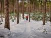 Rent a Fat Bike in Ottawa From Escape