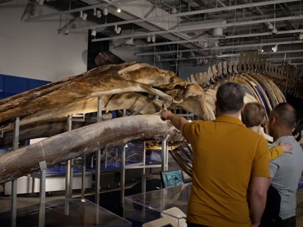 Canadian Museum of Nature Ottawa — free admission on Thursday evenings
