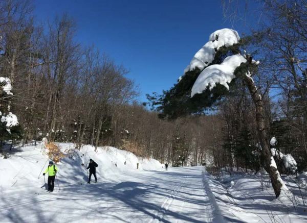 ski in Gatineau PArk